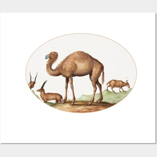 Camel, Ibex, and Goat (1575–1580) Posters and Art